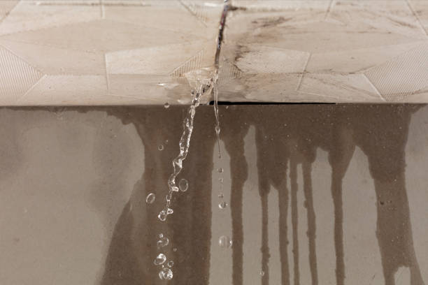 Professional Commercial Water Damage Restoration technician working in Walstonburg, NC